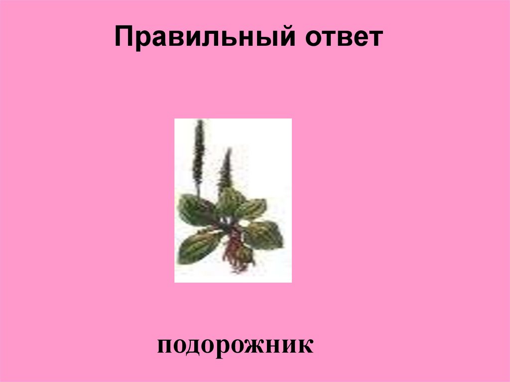 Правильный ответ