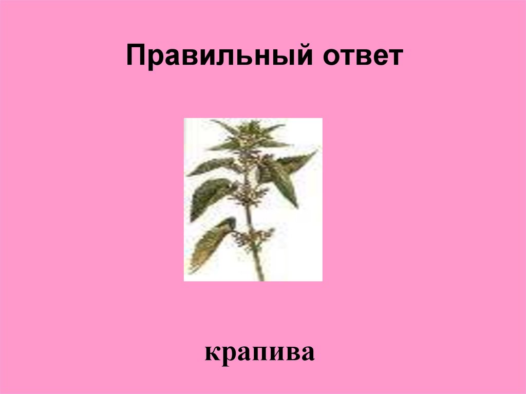 Правильный ответ