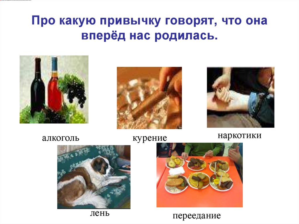 Про какую привычку говорят, что она вперёд нас родилась.