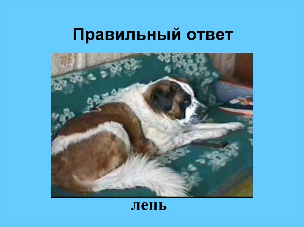 Правильный ответ