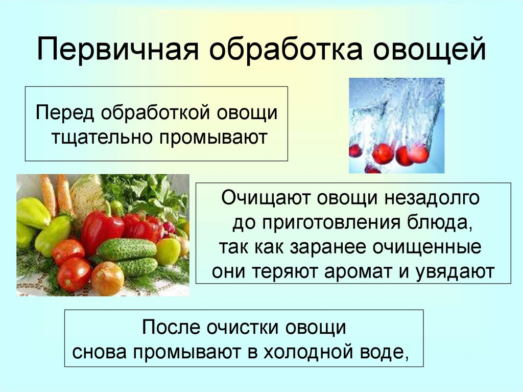 Как обрабатывают овощи. Обработка свежих овощей. Способы обработки овощей. Первичная обработка. Первичная обработка овощей.