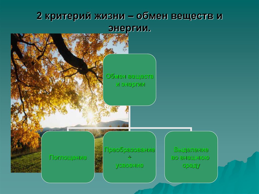 Обмен жизнями 3 4. Обмен веществ и энергии критерии жизни. Критерии жизни. Критерии жизни биология. Критерии уровни жизни биология.