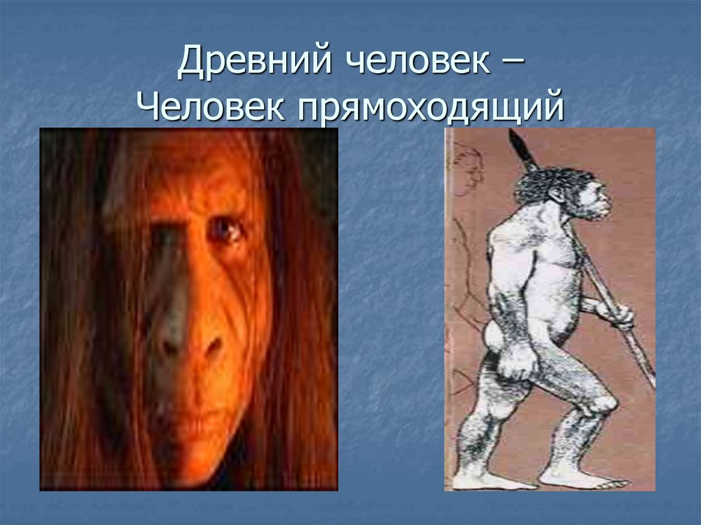 Происхождение человека - online presentation