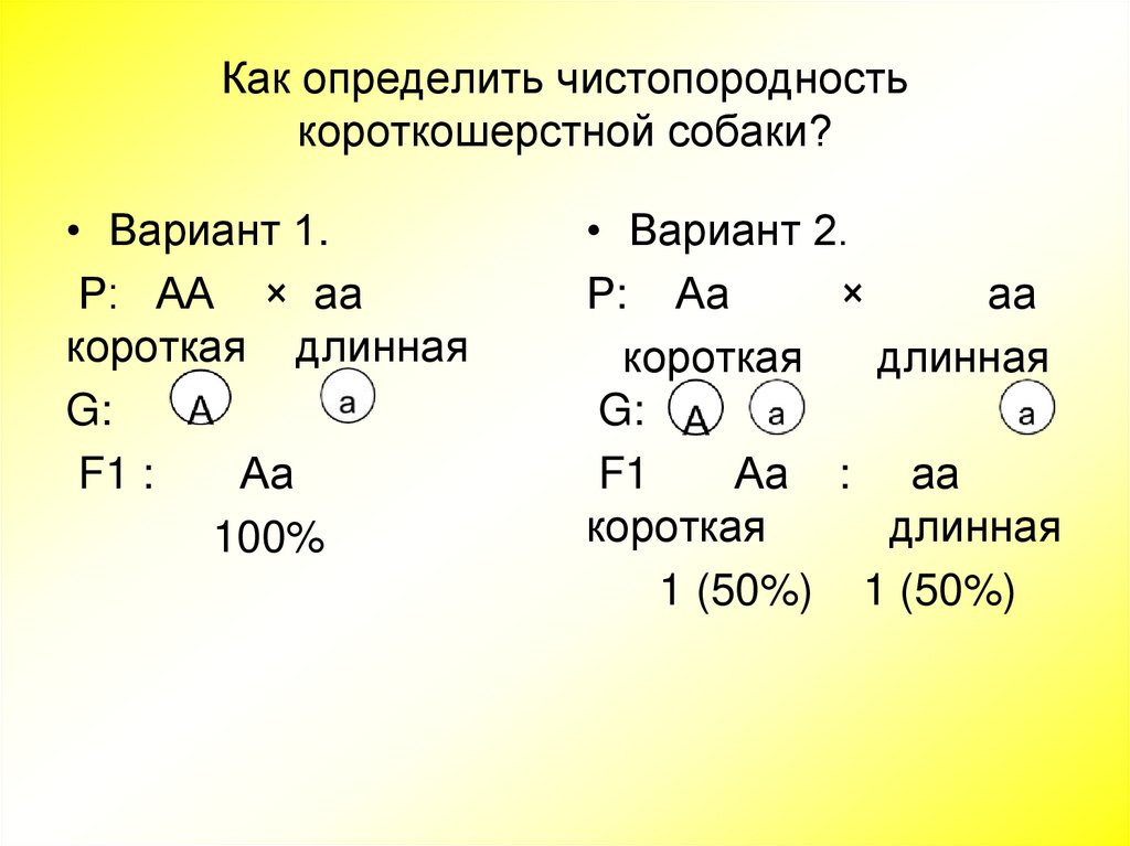 Анализирующее скрещивание неполное доминирование презентация 10 класс