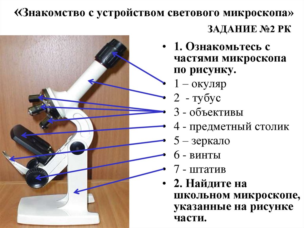 Микроскоп название частей биология 5 класс. Микроскоп строение микроскопа. Части микроскопа биология 5 класс. Части микроскопа биология 5 класс цифрового микроскопа части. Схема светового микроскопа.