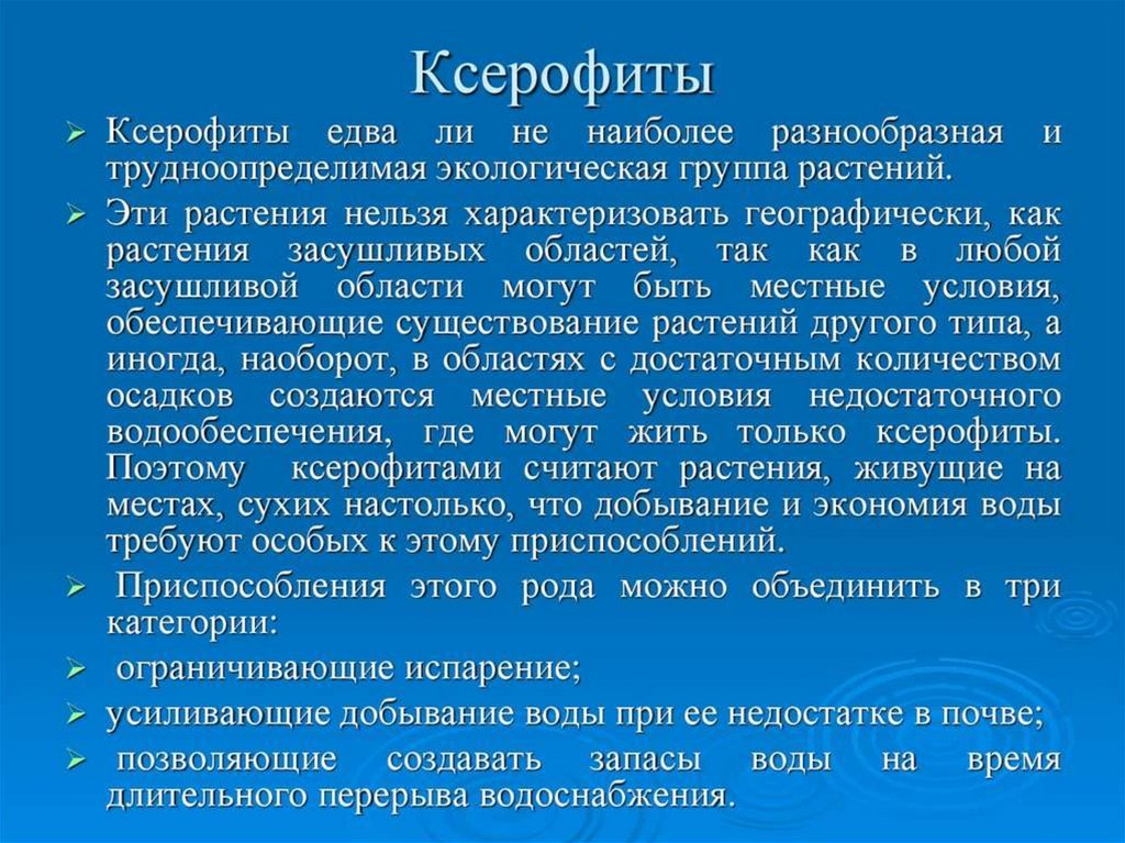 Экологическая группа ксерофиты. Ксерофиты приспособления. Экологические группы растений ксерофиты. Типы ксерофитов. Ксерофиты адаптации.