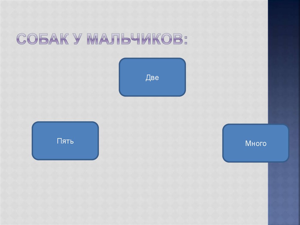 Собак у мальчиков: