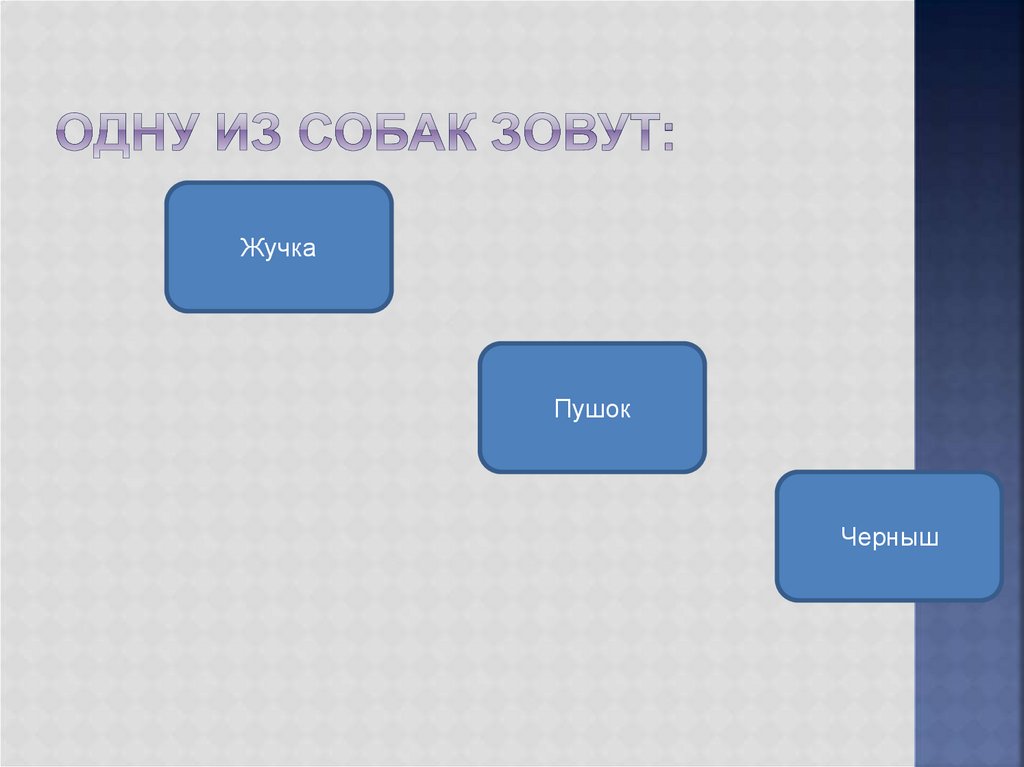 Одну из собак зовут: