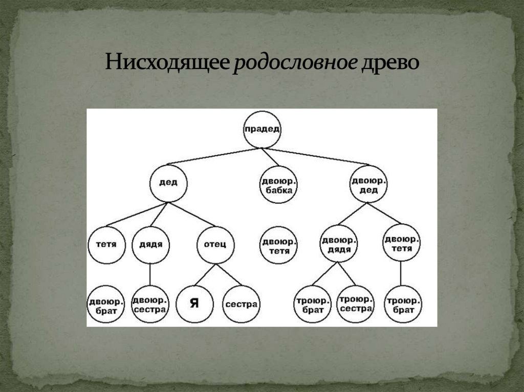 Зачем современному человеку знать свою родословную. Схема родственных связей дерево. Как составить родословную схема. Составление родословного древа. Составление схемы генеалогического древа.