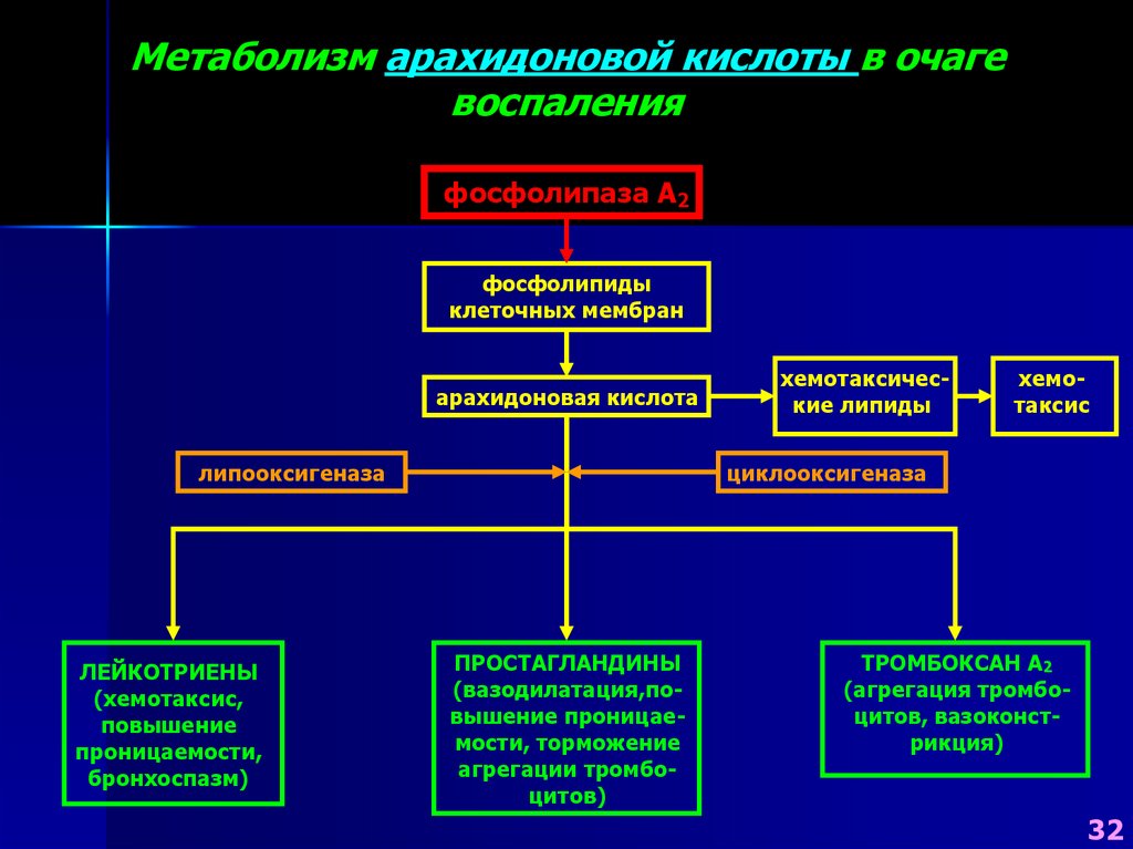 1 стадии воспаления. Модуляторы воспаления. Фармакологические аспекты модуляции воспалительных реакций.