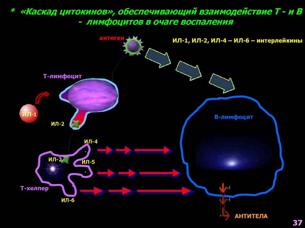 Астро хелпер. Интерлейкин 5 иммунология. Тхелперы 1 синтезируют интерликин. Il-2 интерлейкин 2. Интерлейкин 4.