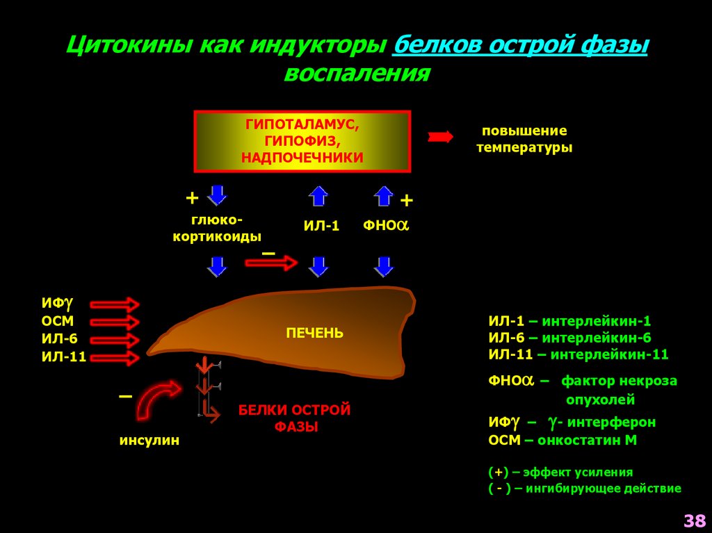 Белок температура