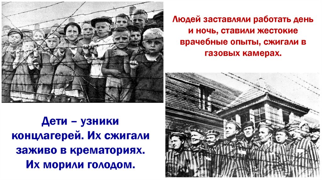 Холокост - презентация онлайн