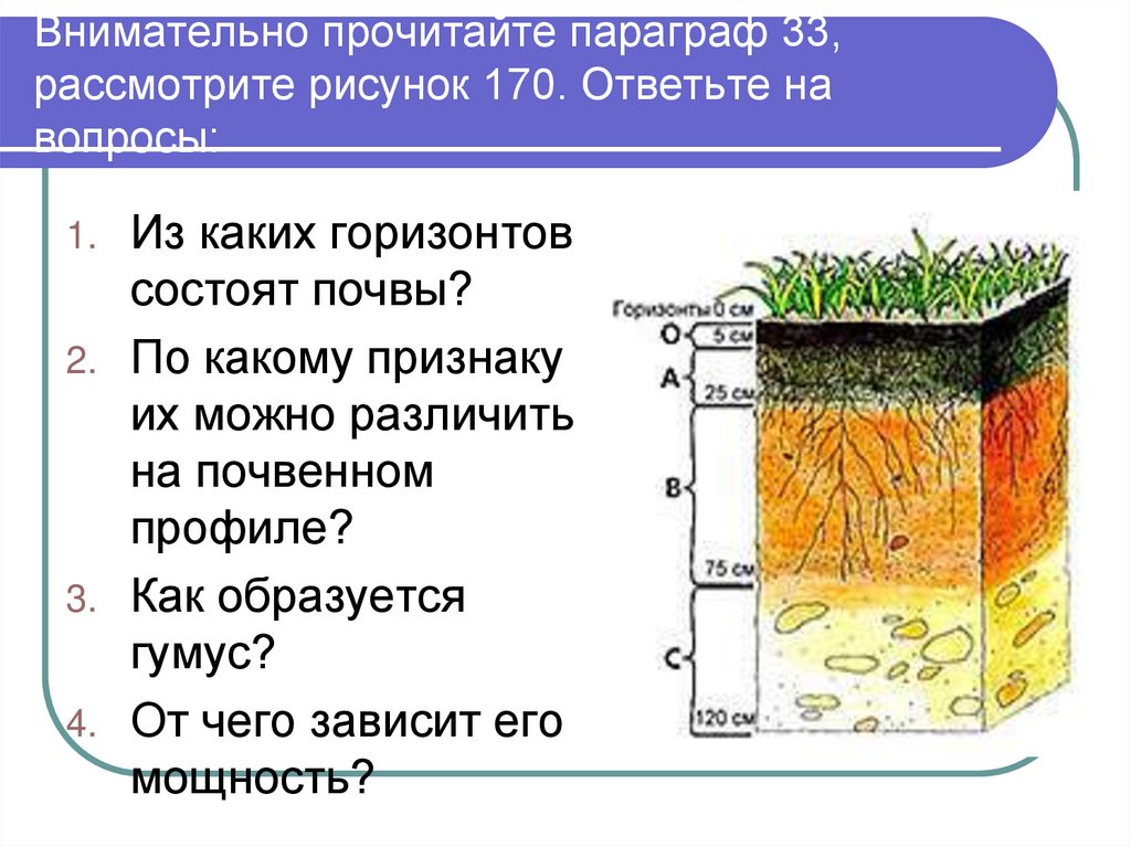 Характеристика почвы 5 класс