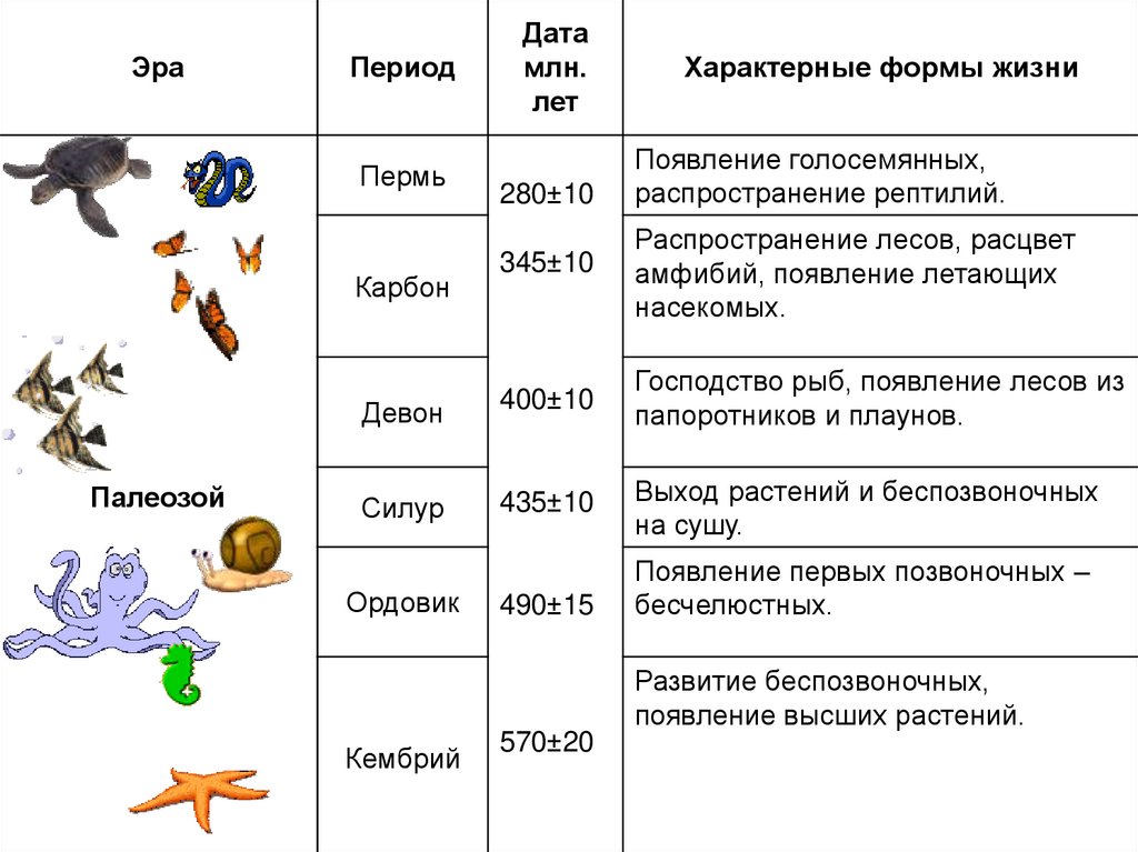 История развития жизни на земле презентация