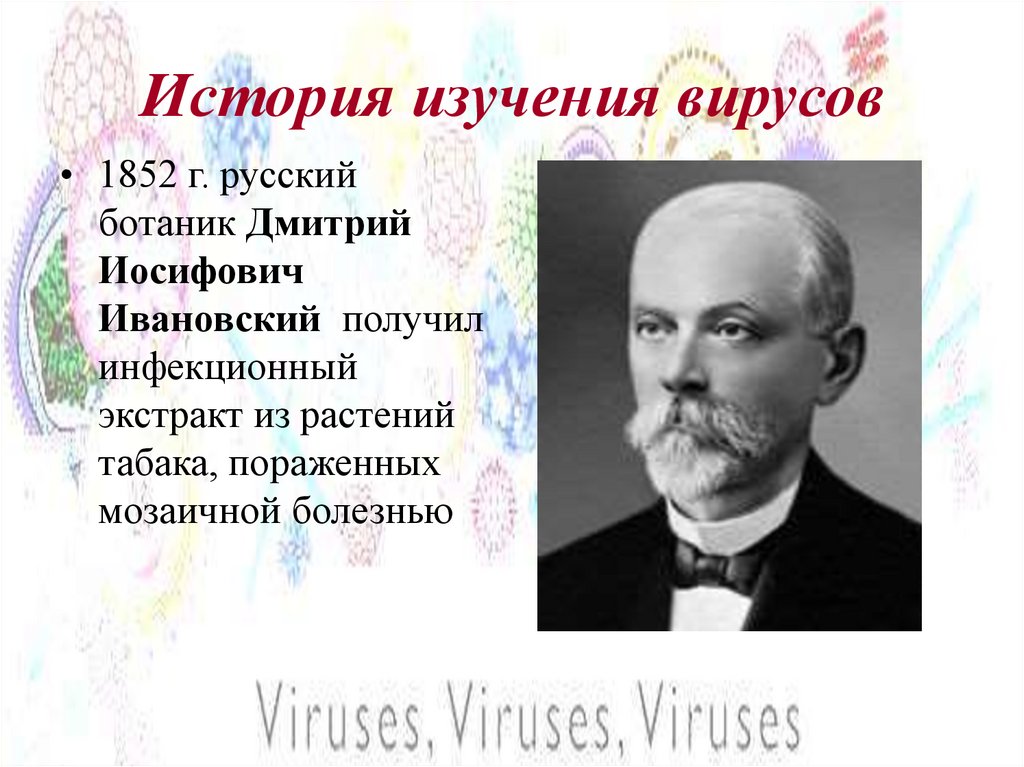 История изучения вирусов