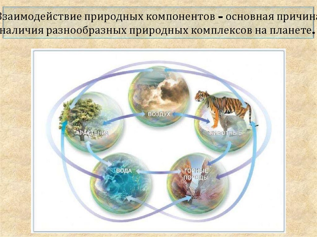 Главная причина широтной зональности изменение