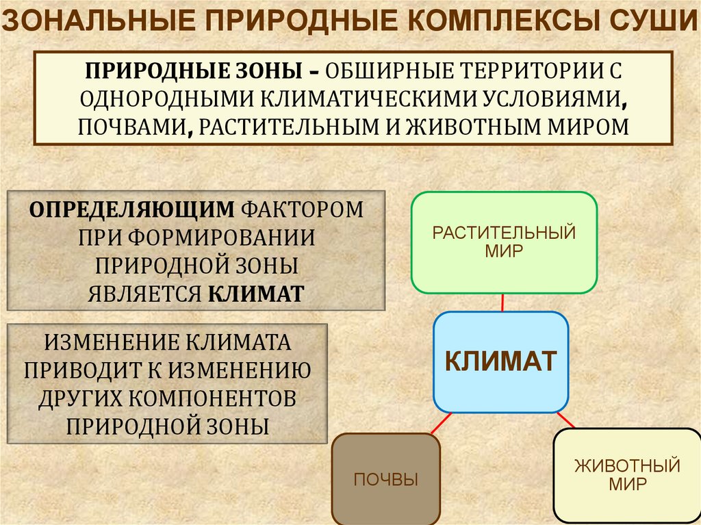 Зональные природные комплексы