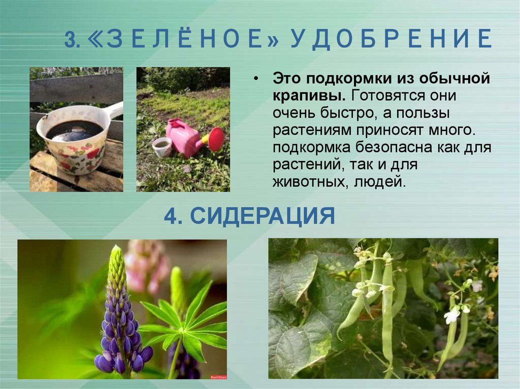 3. «ЗЕЛЁНОЕ» УДОБРЕНИЕ
