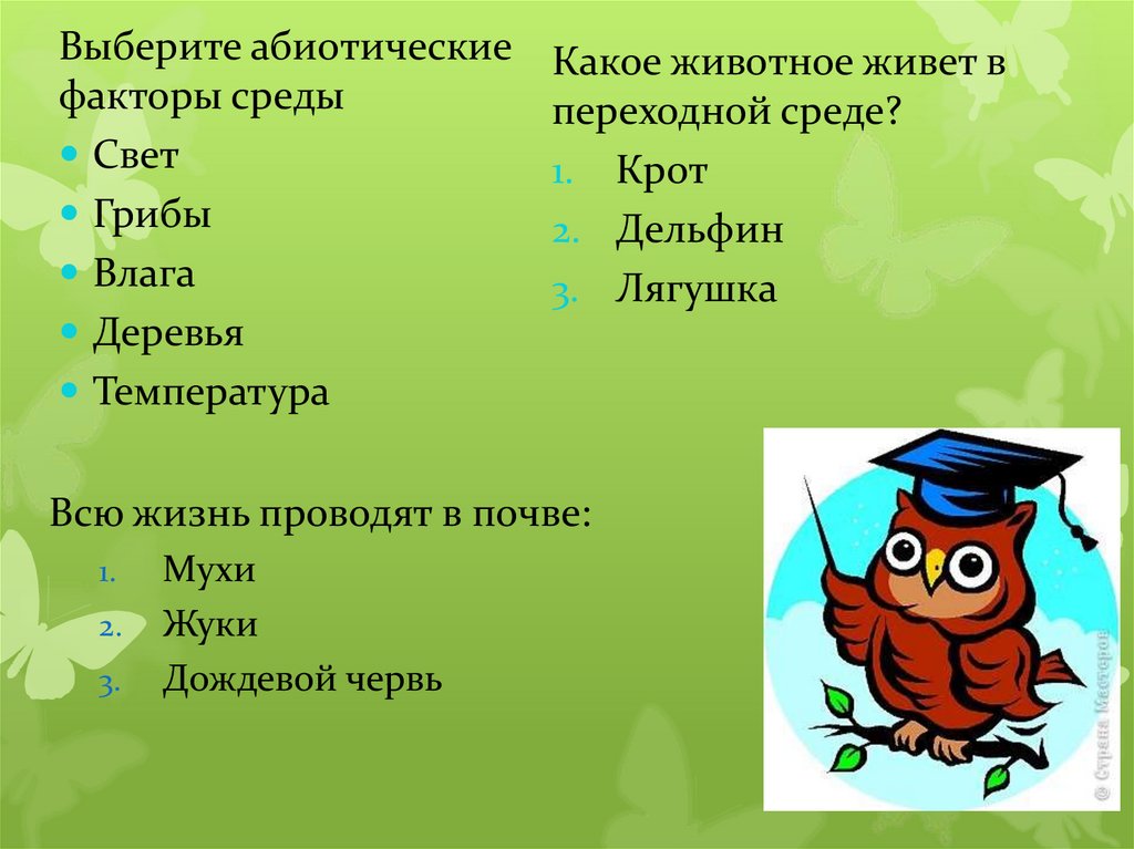 Слова общего рода. 10 Существительных общего рода. Положительные слова общего рода. Слова общего рода существительные.