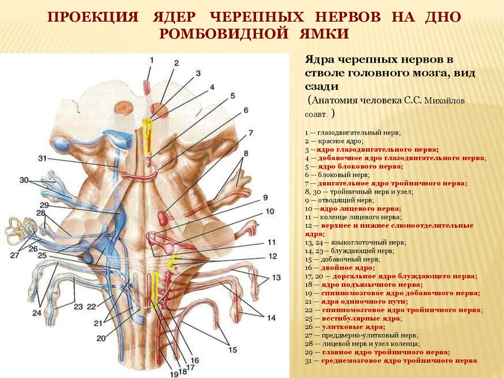 Симптомы поражения черепных нервов