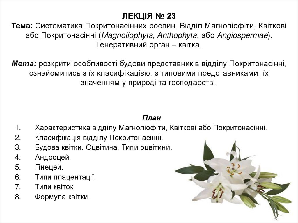 ЛЕКЦІЯ № 23 Тема: Систематика Покритонасінних рослин. Відділ Магноліофіти, Квіткові або Покритонасінні (Magnoliophyta,