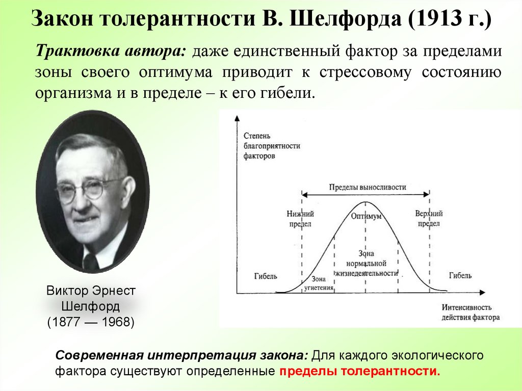 38.Закон Шелфорда