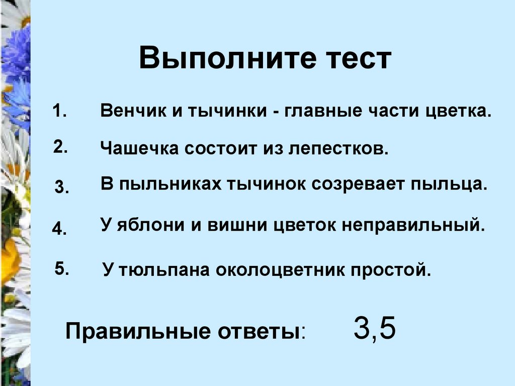 Соцветия. Проверка домашнего задания - презентация онлайн