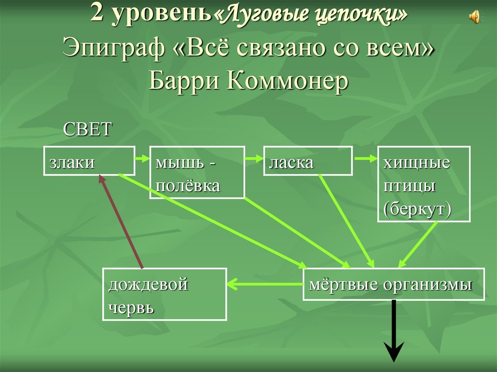 Сравните экосистему луга и поля