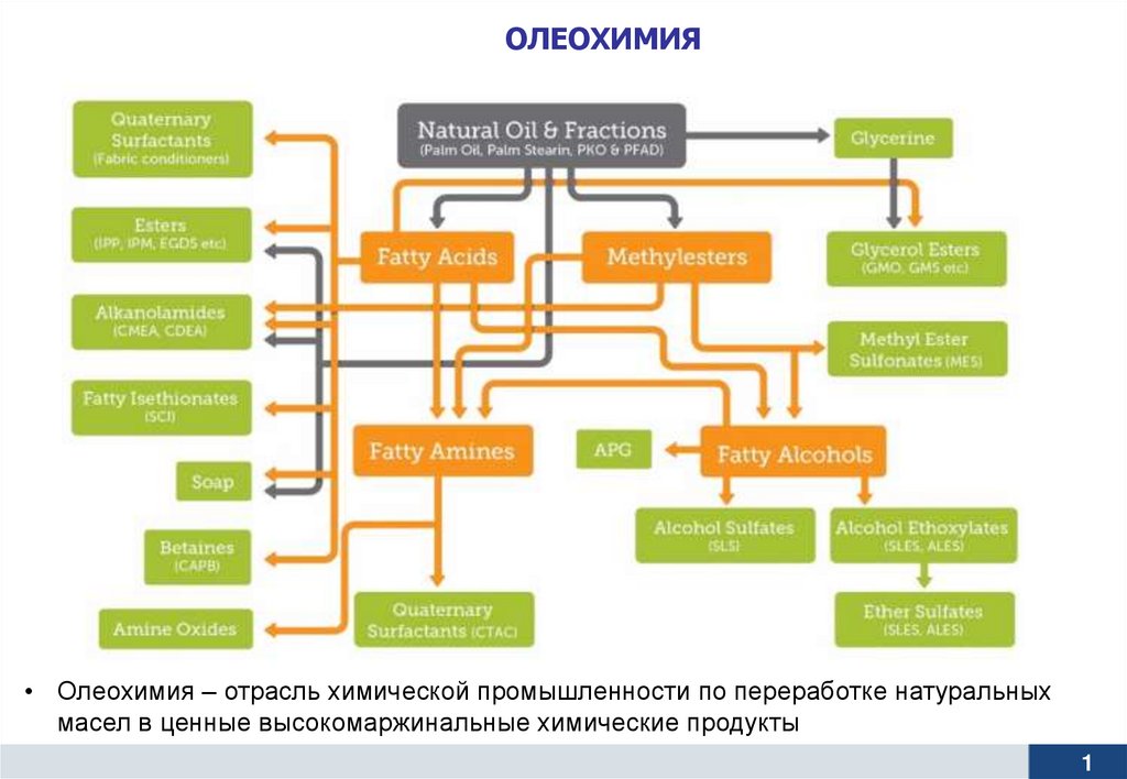 Проект 500 плюс в образовании