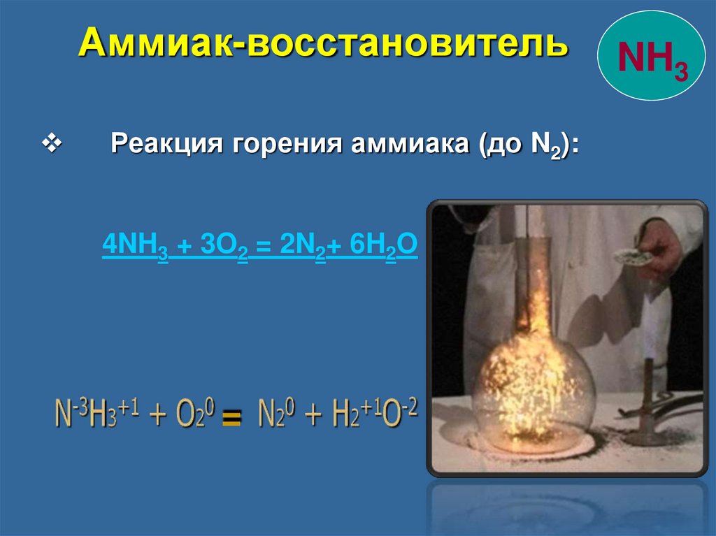 Назовите продукты реакции горения. Горение аммиака реакция. Реакции с аммиаком. Горение аммиака в кислороде. Реакция горения аммиака в кислороде.