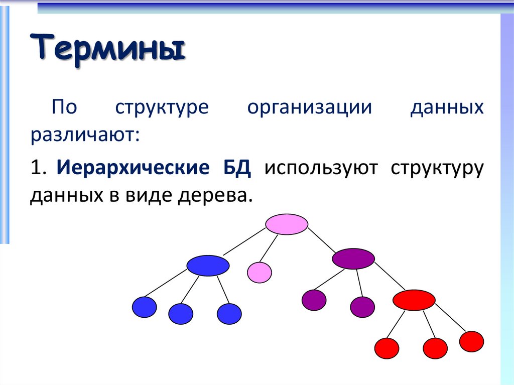 Иерархическая база данных