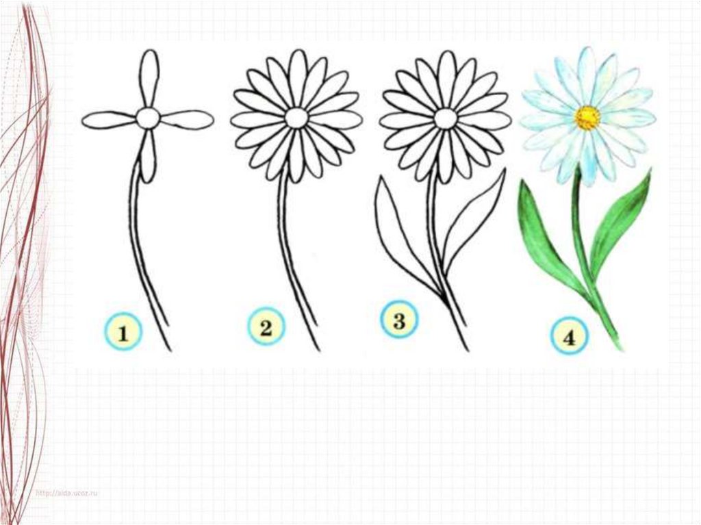 Рисунок цветка 2 класс. Схемы рисования цветов для детей. Поэтапное рисование цветов для детей. Уроки рисования для детей 5-6 лет цветы. Рисование цветов Василек.