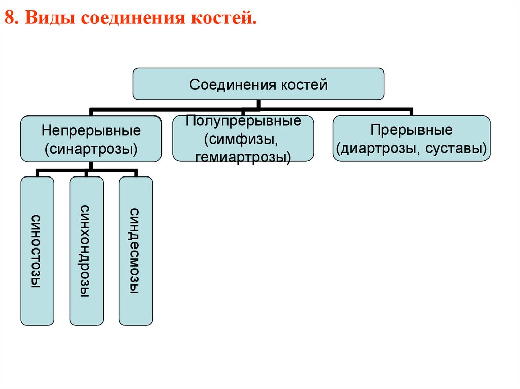 Форма подключения. Типы соединения костей прерывные непрерывные полупрерывные. Виды соединения костей синартрозы диартрозы. Полупрерывные соединения костей виды. Виды соединения костей таза непрерывные, полупрерывные,.