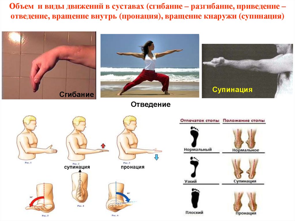 Движения в суставах. Движение плечевого сустава сгибание разгибание приведение отведение. Отведение приведение сгибание разгибание супинация пронация. Виды движений в суставах.