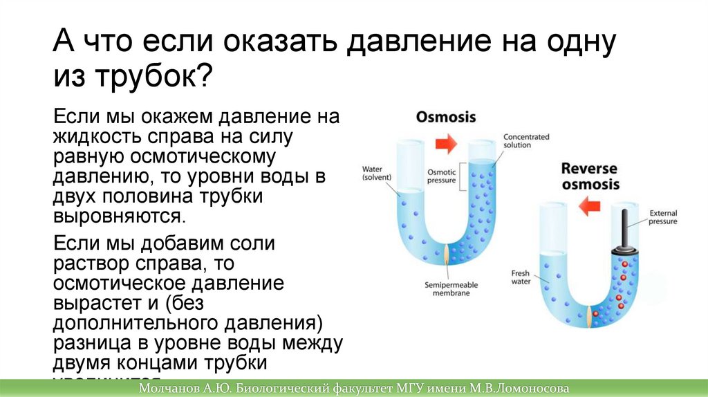 Фильтрация это в биологии. Осмотическая вода.