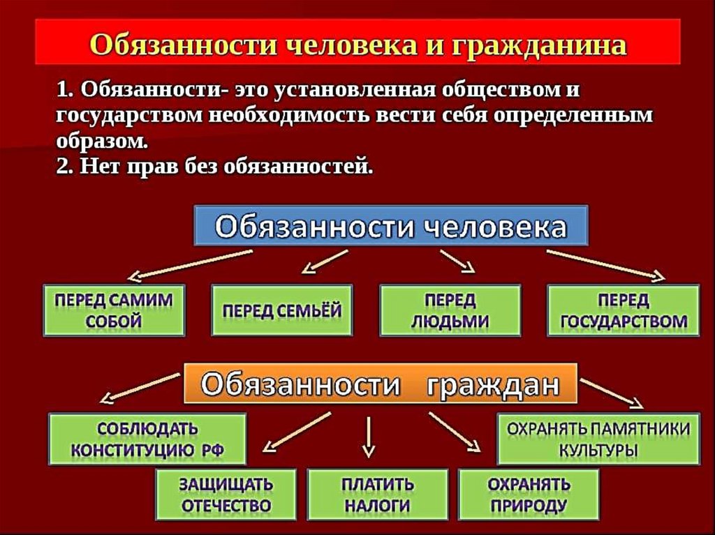 Составьте план ответа на вопрос каковы права и обязанности гражданина россии