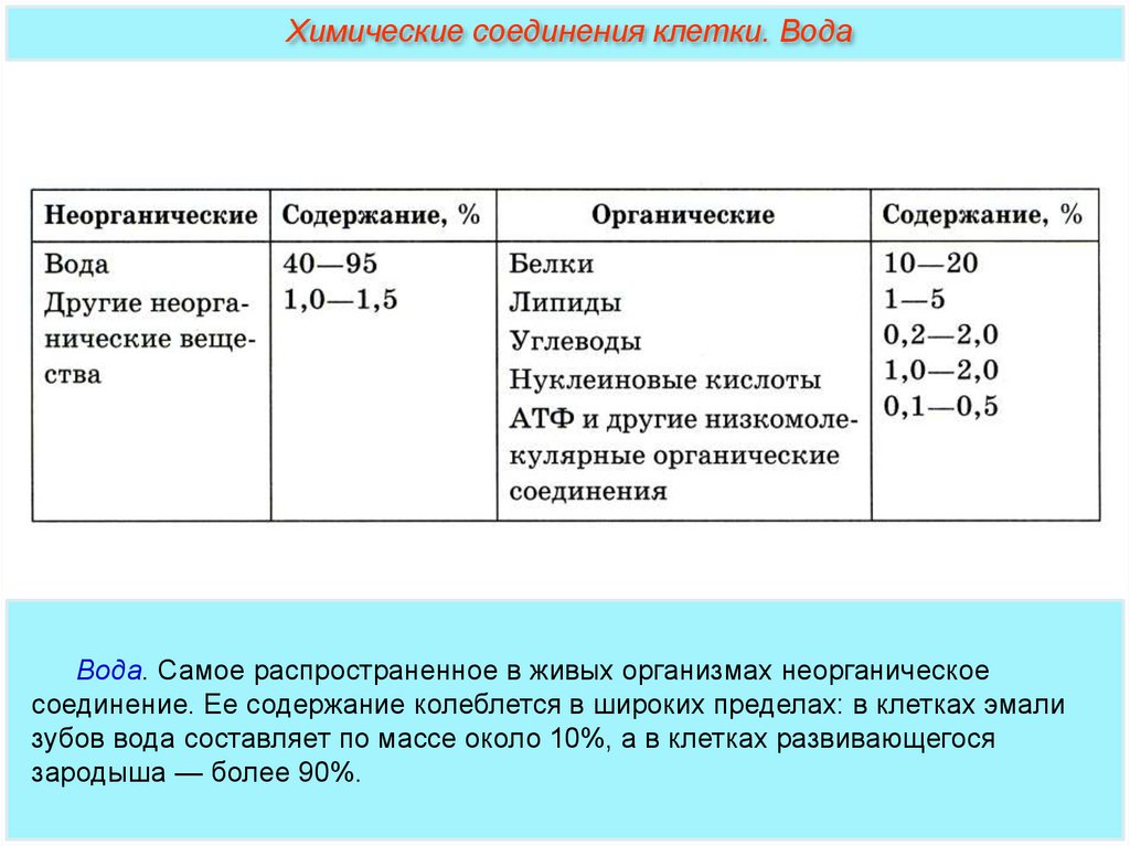 Химический состав клетки неорганические вещества