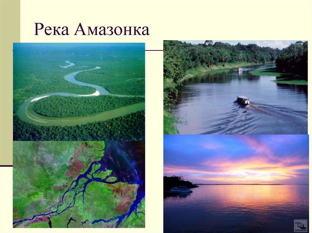 Южная америка путешествие 7 класс презентация. Южная Америка река Амазонка. Река Амазонка для детей. Что такое Амазонка в географии. По реке Амазонке.