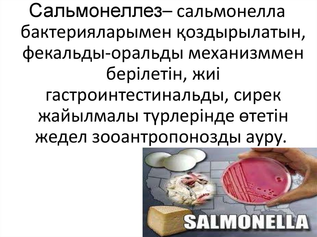Характеристика сальмонеллеза
