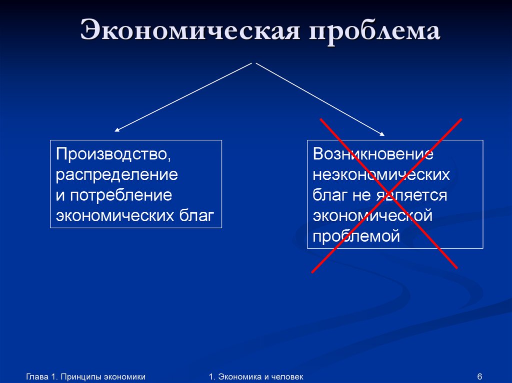 Экономические и неэкономические факторы. Экономические проблемы производства и потребления. Принцип вопросы экономики. Производство потребление экономическое благо. Проблема производителя.