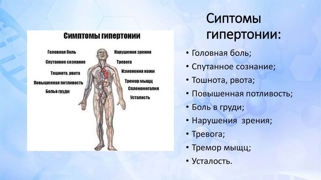 Гипертония. Симптомы гипертонии - презентация онлайн