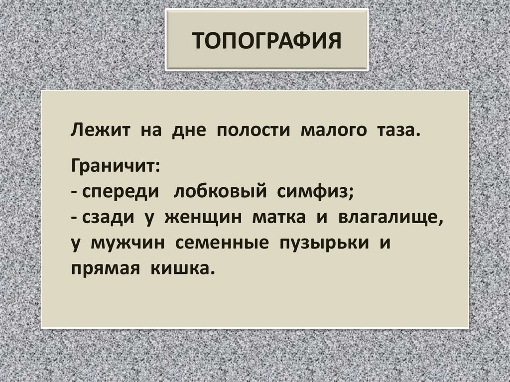 ТОПОГРАФИЯ