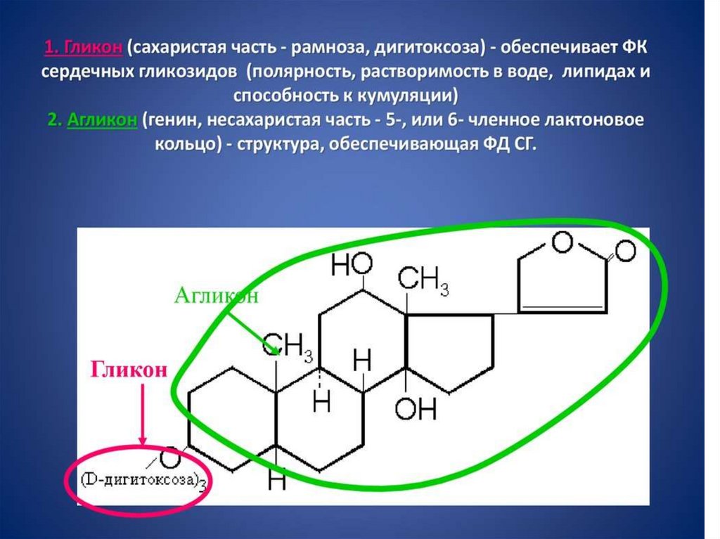 Что такое сердечный гликозид это простыми. Гликон и агликон. Полярные сердечные гликозиды препараты. Сердечный гликозид Гликон агликон. Химическая структура сердечных гликозидов.