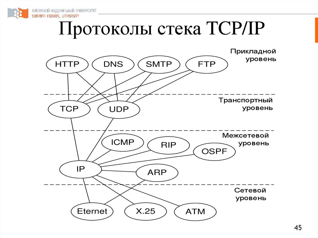 Протоколы стека TCP/IP