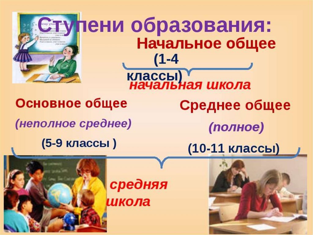 Презентация по обществознанию тема образование