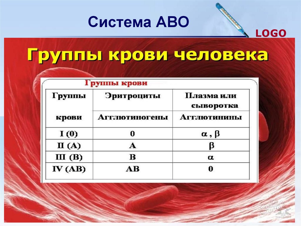 Группы крови по системе АВО И rh-фактору. Основы трансфузиологии : учение о группах крови.