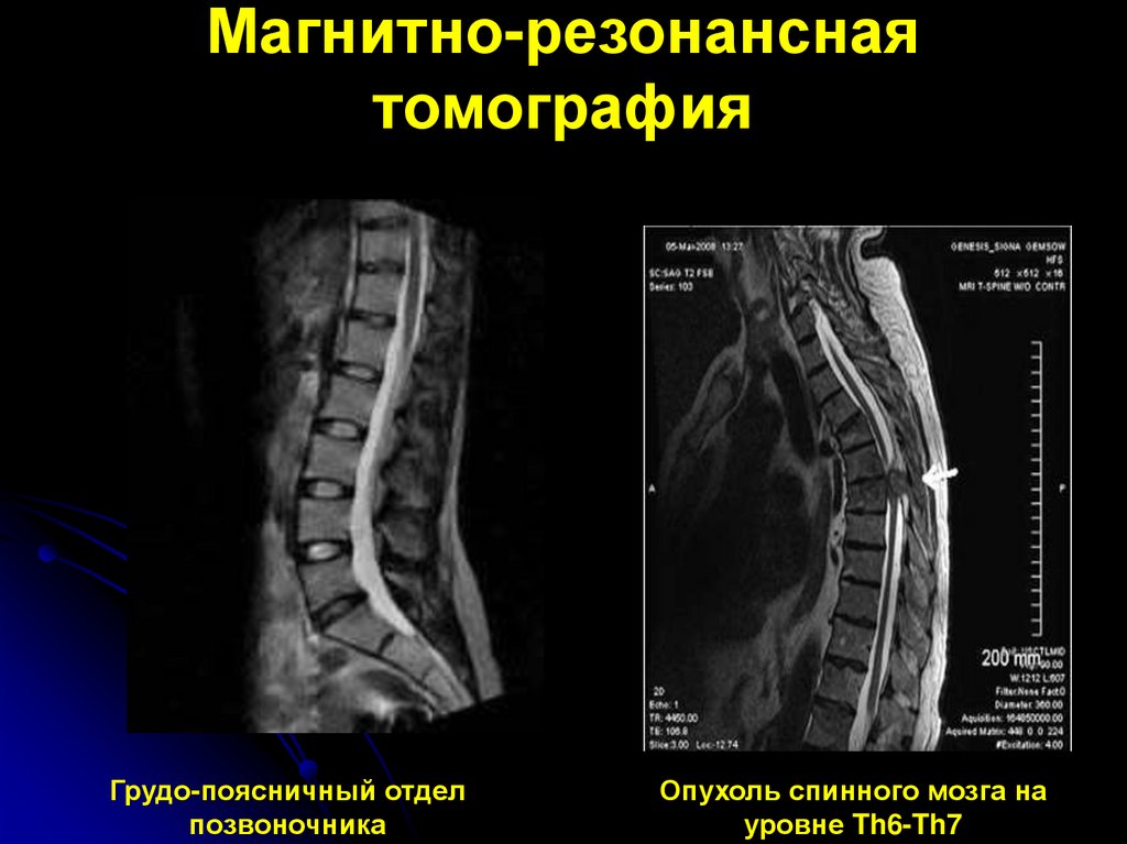 Кужеватова ольга владимировна картины