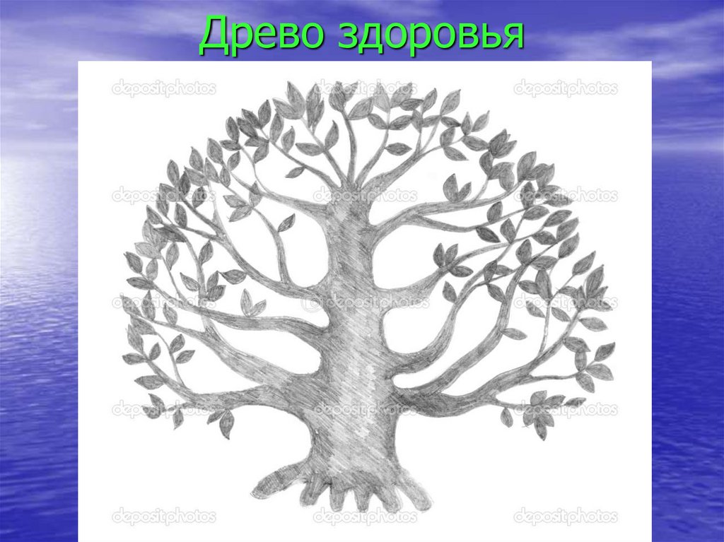 Древо здоровья