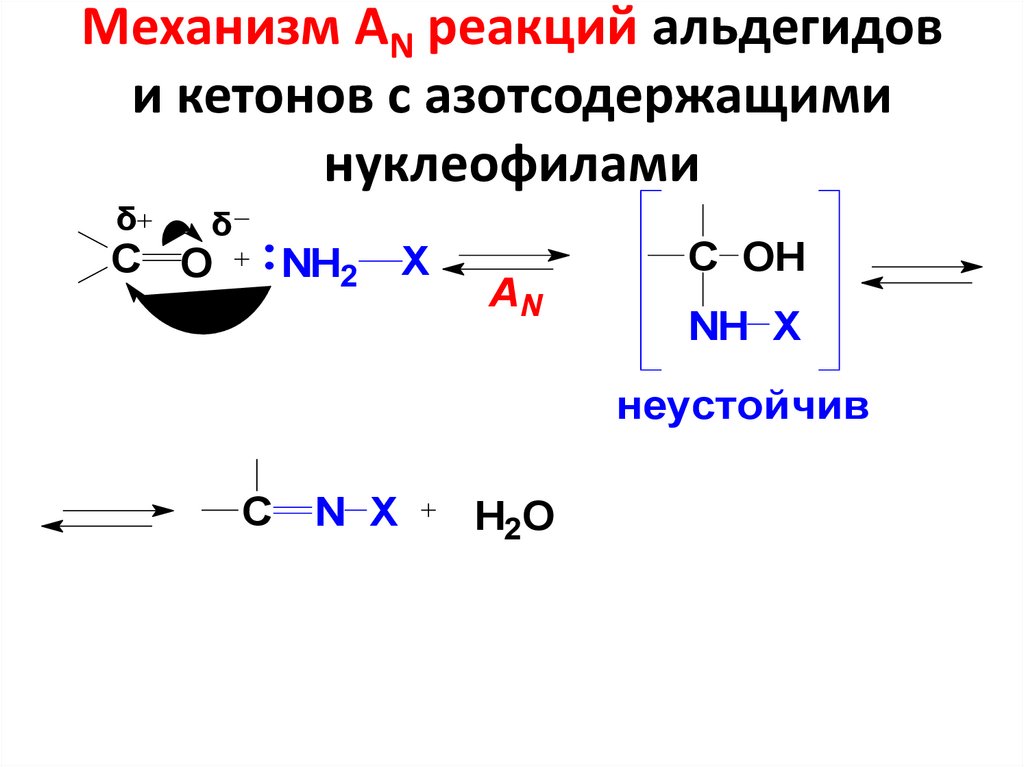 Механизм АN реакций альдегидов и кетонов с азотсодержащими нуклеофилами